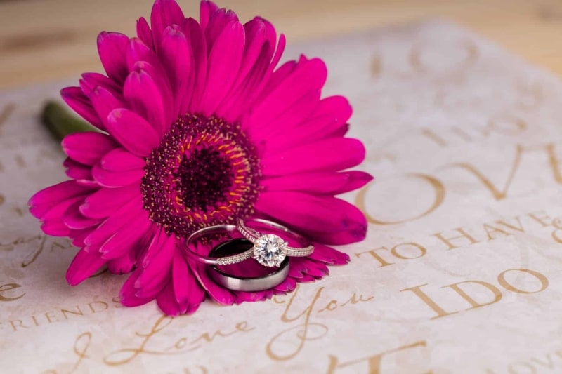 wedding-rings-on-a-flower